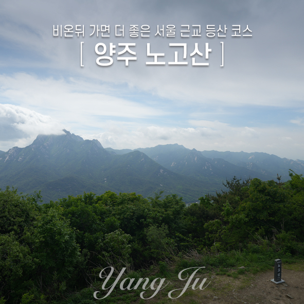 비온뒤 이미지