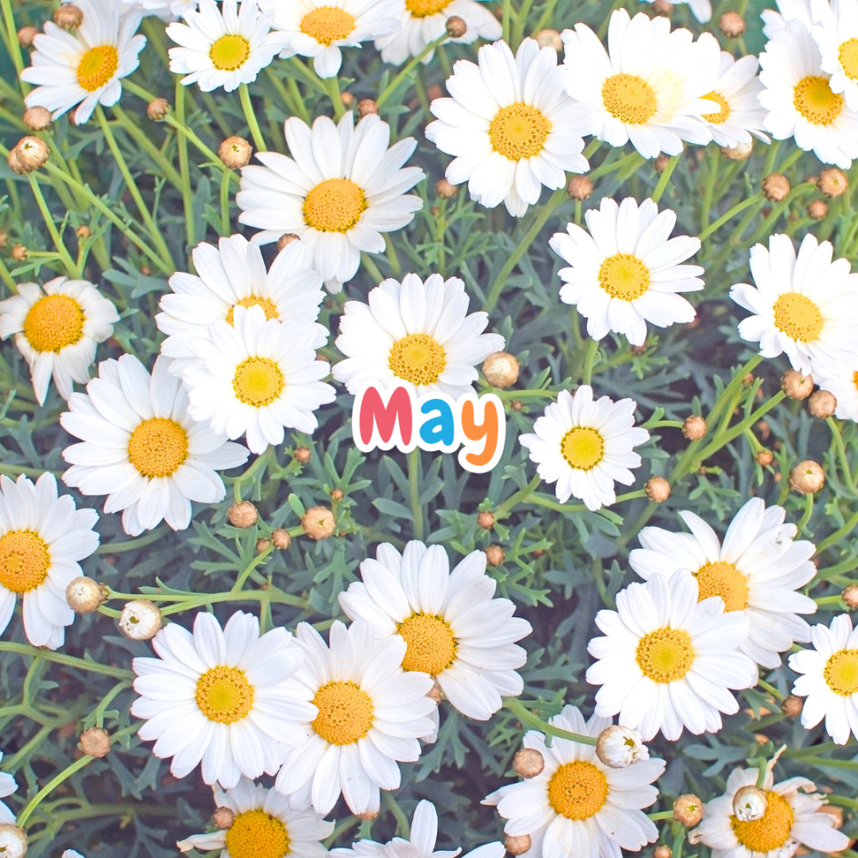 May 몇월일까 1월부터 12월까지 달력월별영어 발음 약자 정리 : 네이버 블로그