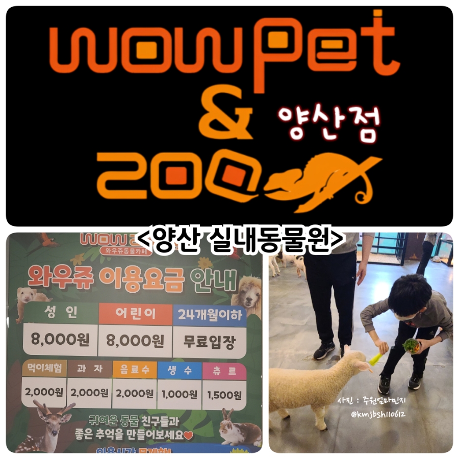 뽑아쥬 이미지