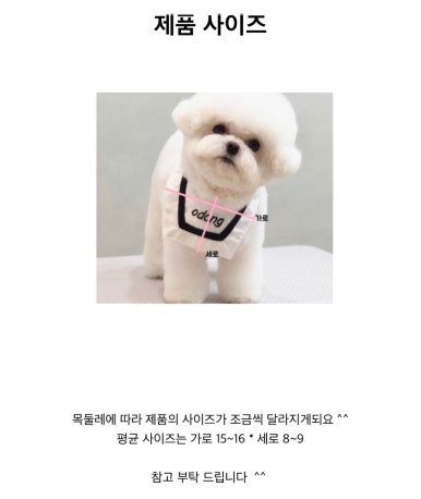 쿠름 이미지