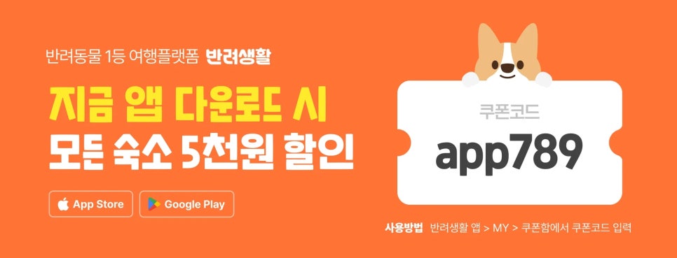 스테이더담 무안점 이미지