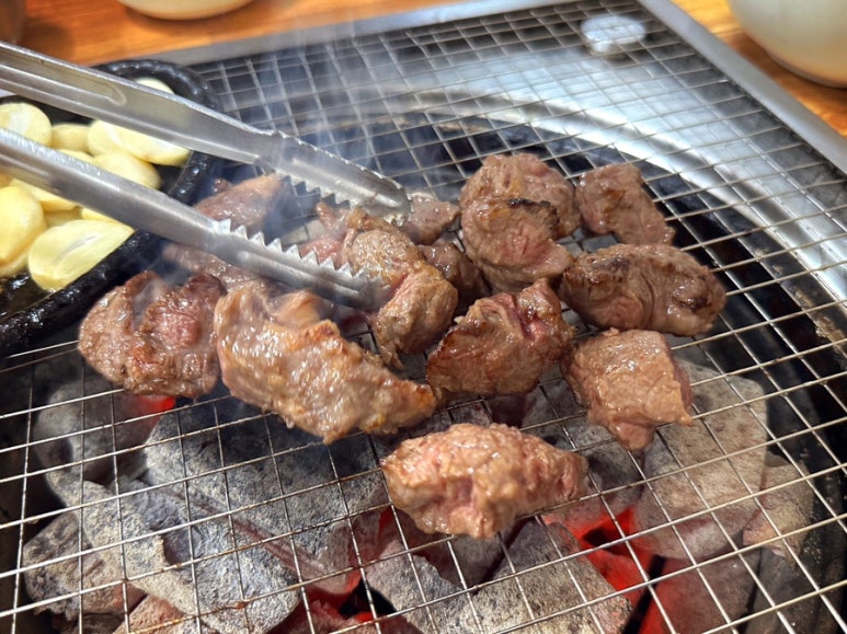 꽃보다소 이미지