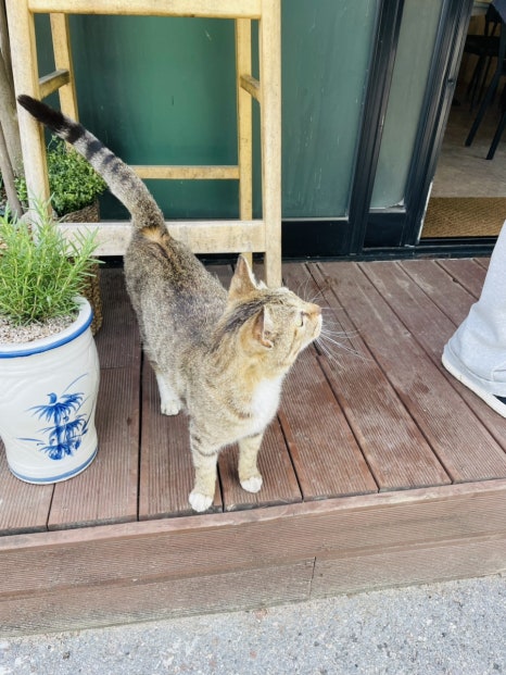 가곡정식당 이미지