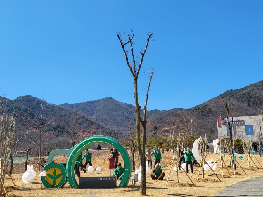 새곳처럼 이미지