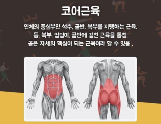 토니바디PT용마점 이미지