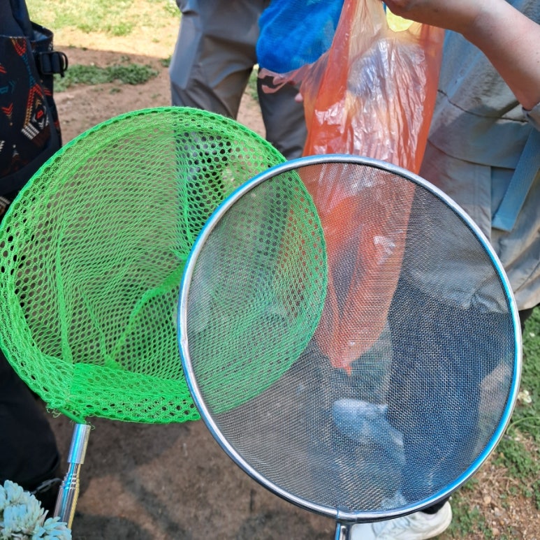 아우룸생태연구소 이미지