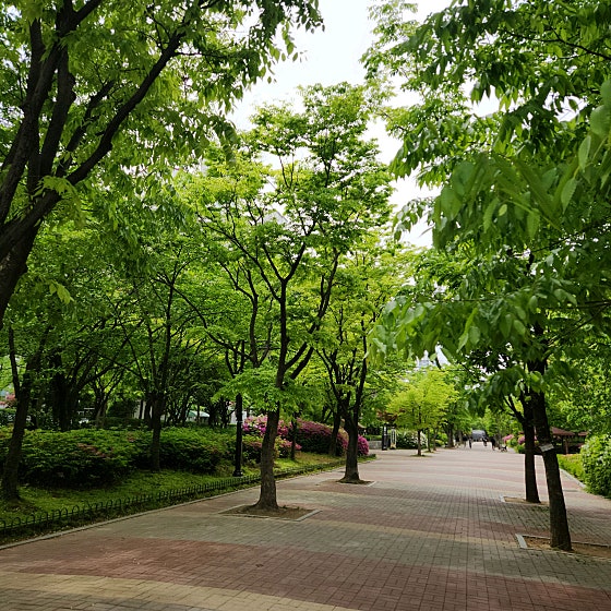 백마편의점 이미지