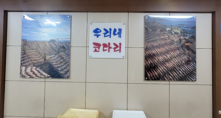 우리네코다리2 이미지