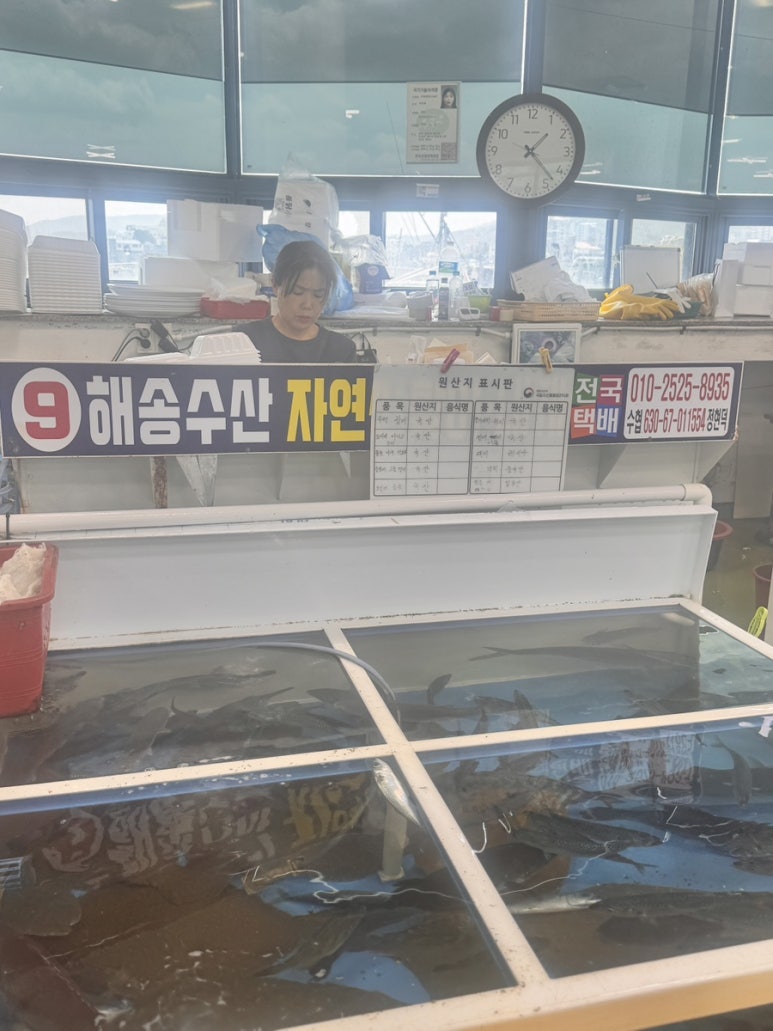 경주활어센타 이미지