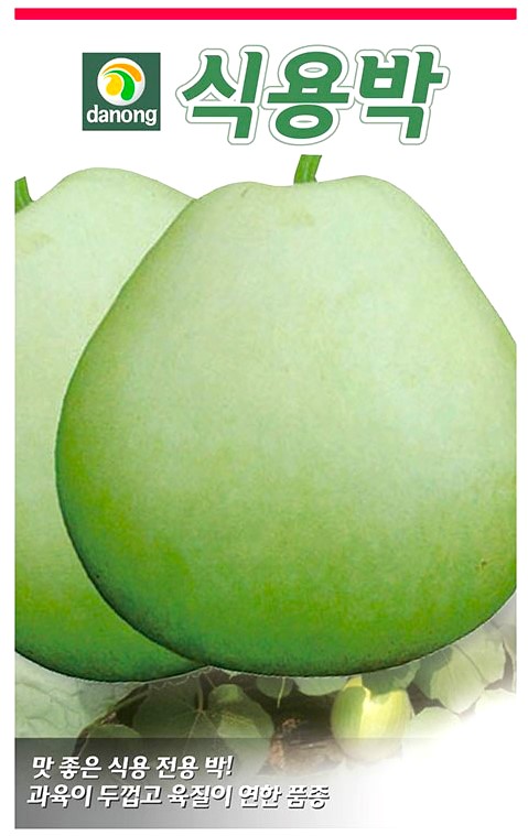 박 이미지