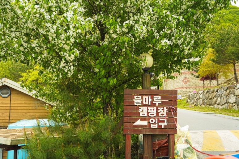 물마루 캠핑장 이미지