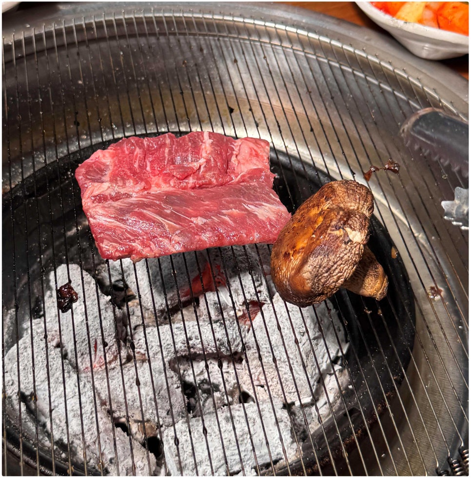 함평어린암소 이미지