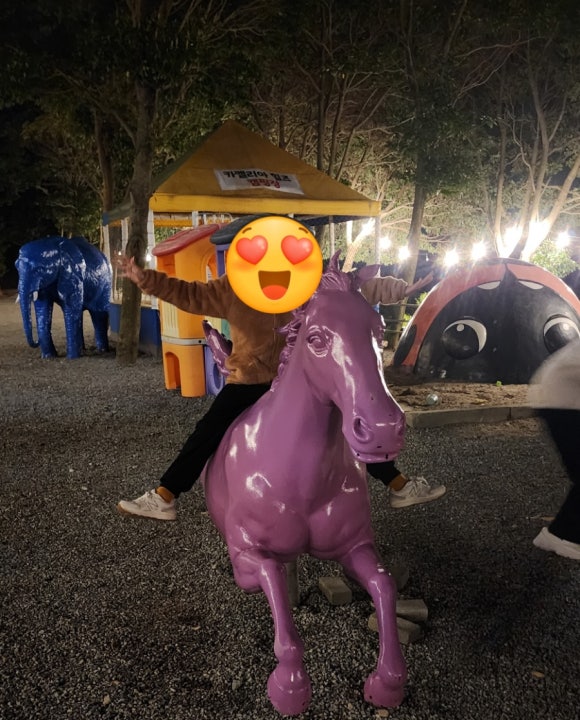 진도카멜리아힐즈오토캠핑장 이미지