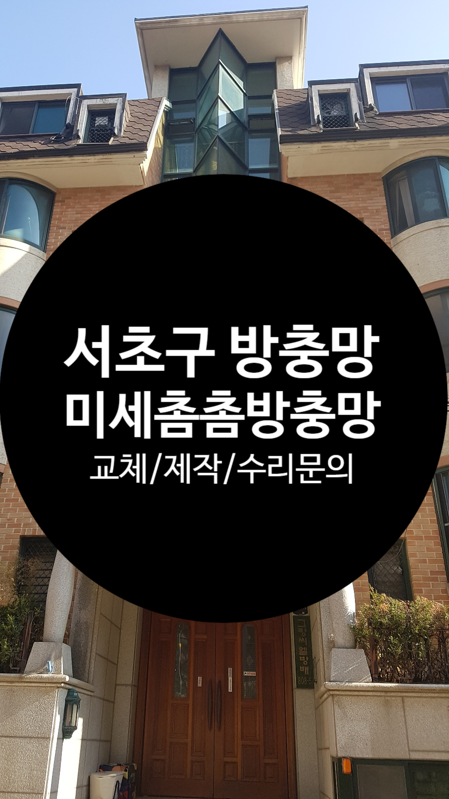 방충망대통령 이미지