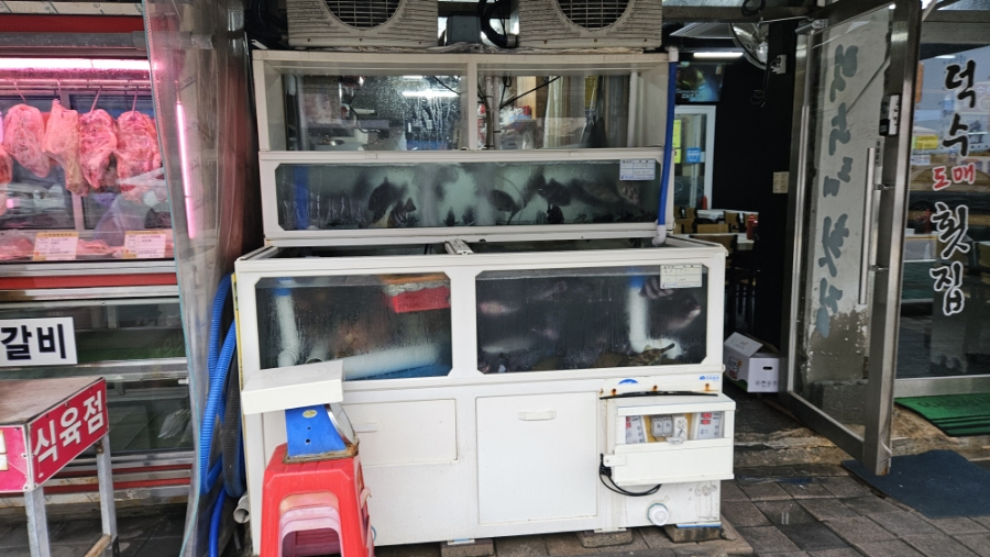 덕수도매횟집 이미지