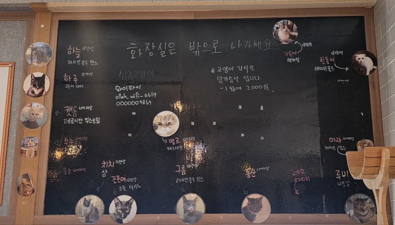 삼층고양이 이미지