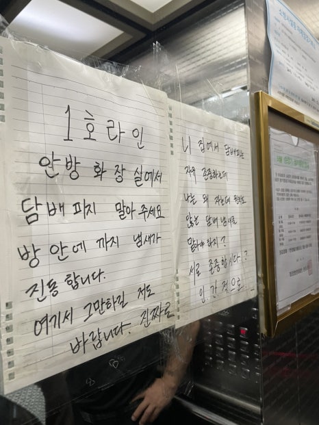 토끼풀댁 이미지