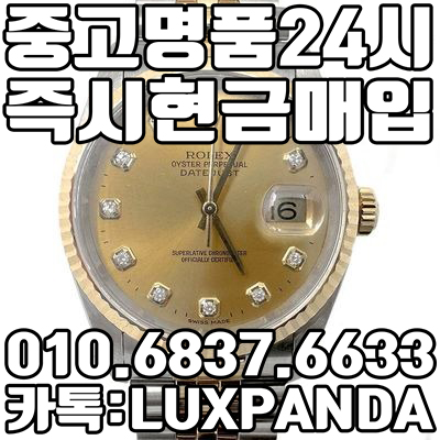 명품판다 이미지