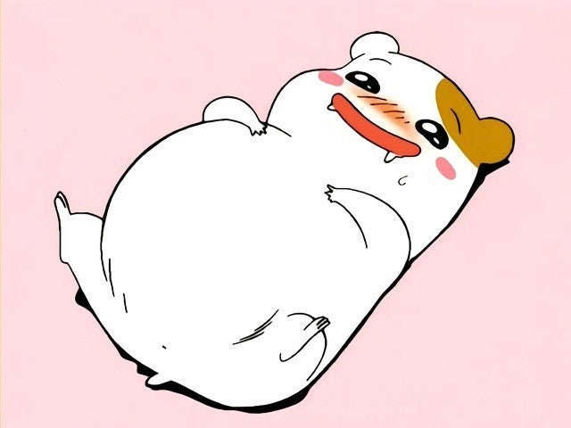 초장집 이미지