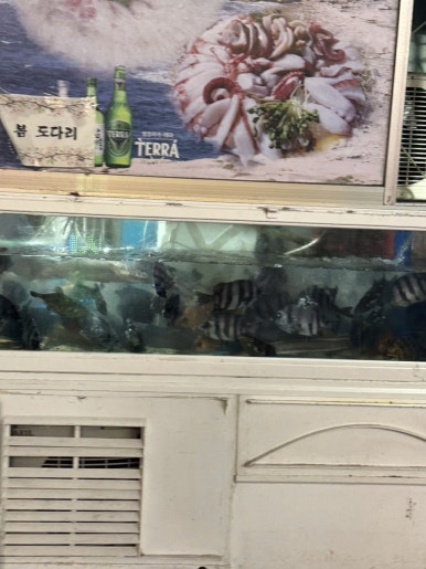 충무해물포차 이미지