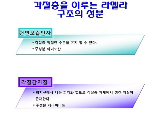 행복에스테틱 이미지