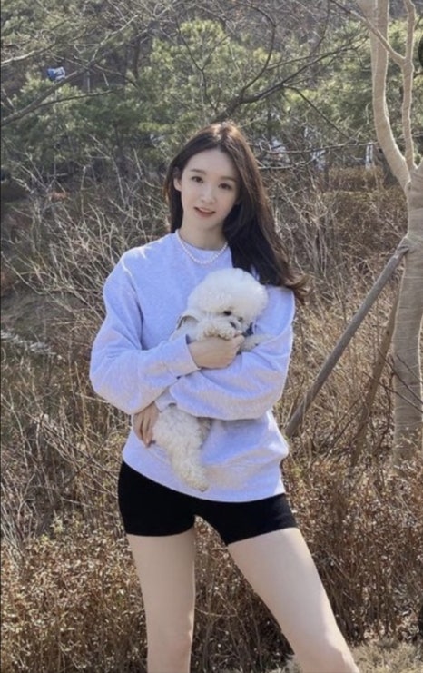 파티마당 이미지