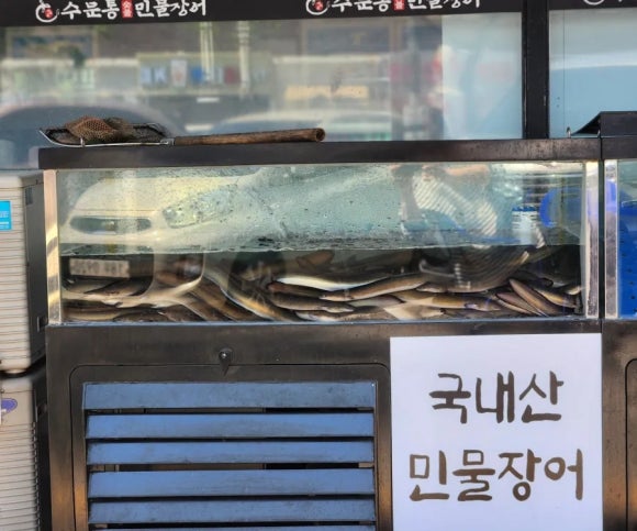 수문통숯불민물장어 이미지