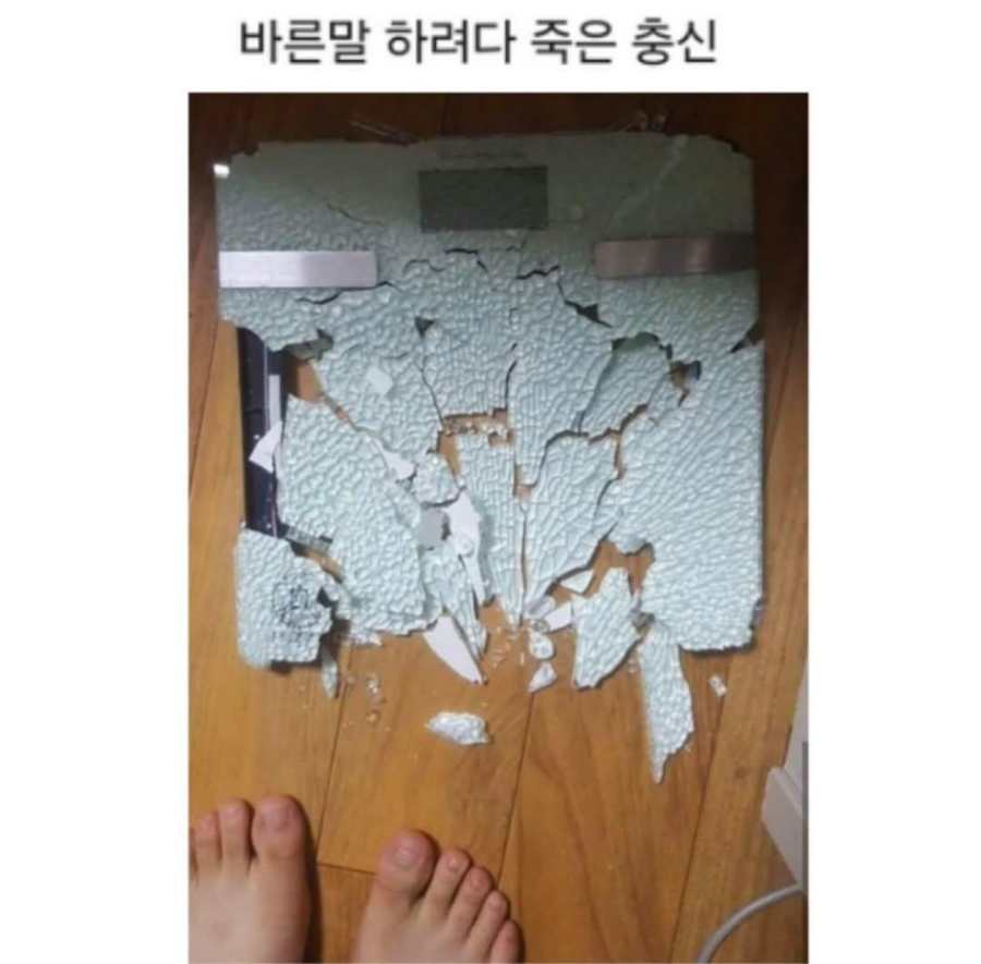 낙지대장 이미지