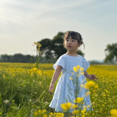 치이즈스튜디오 이미지