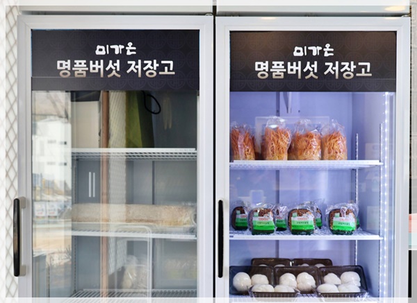미가온 이미지