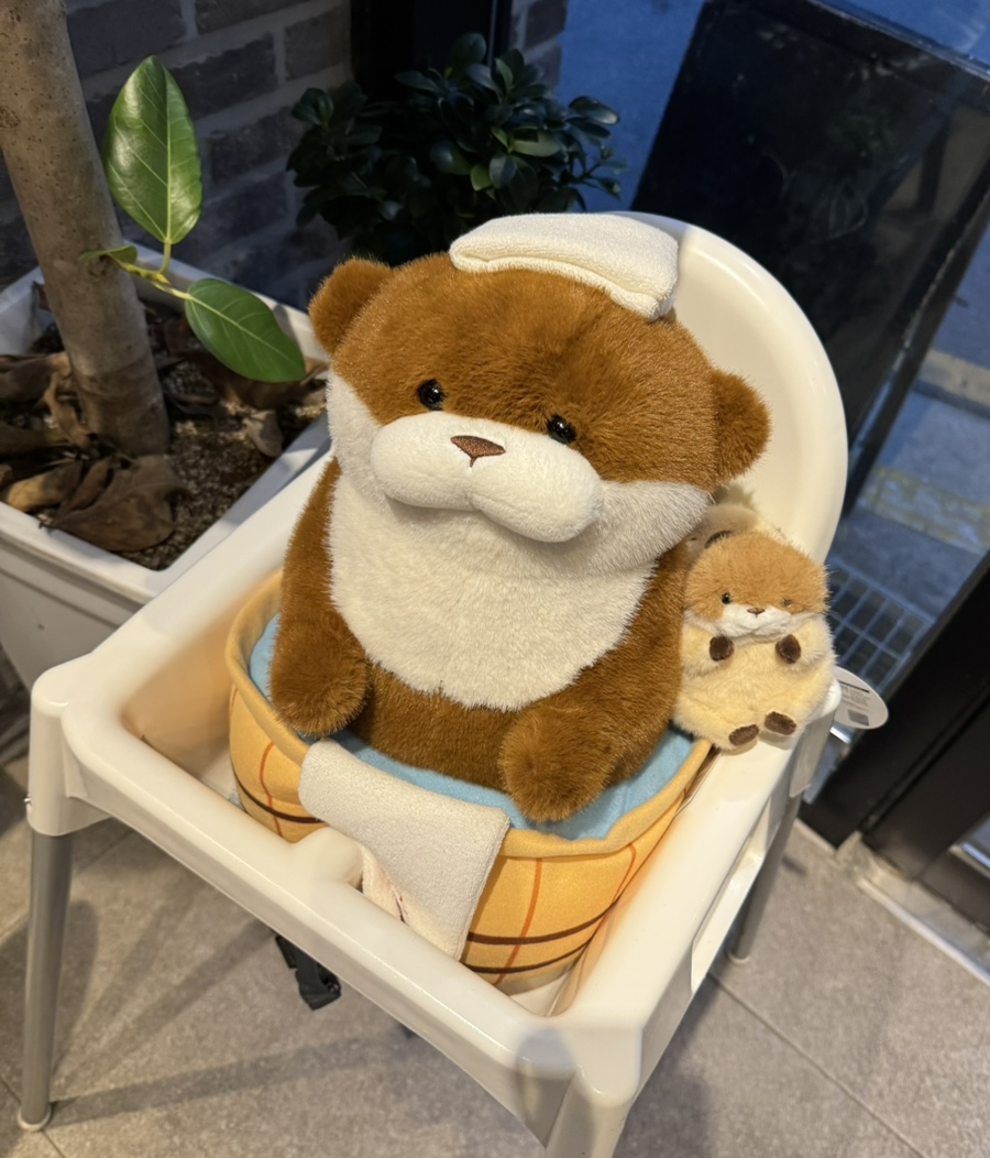 행복카세 이미지