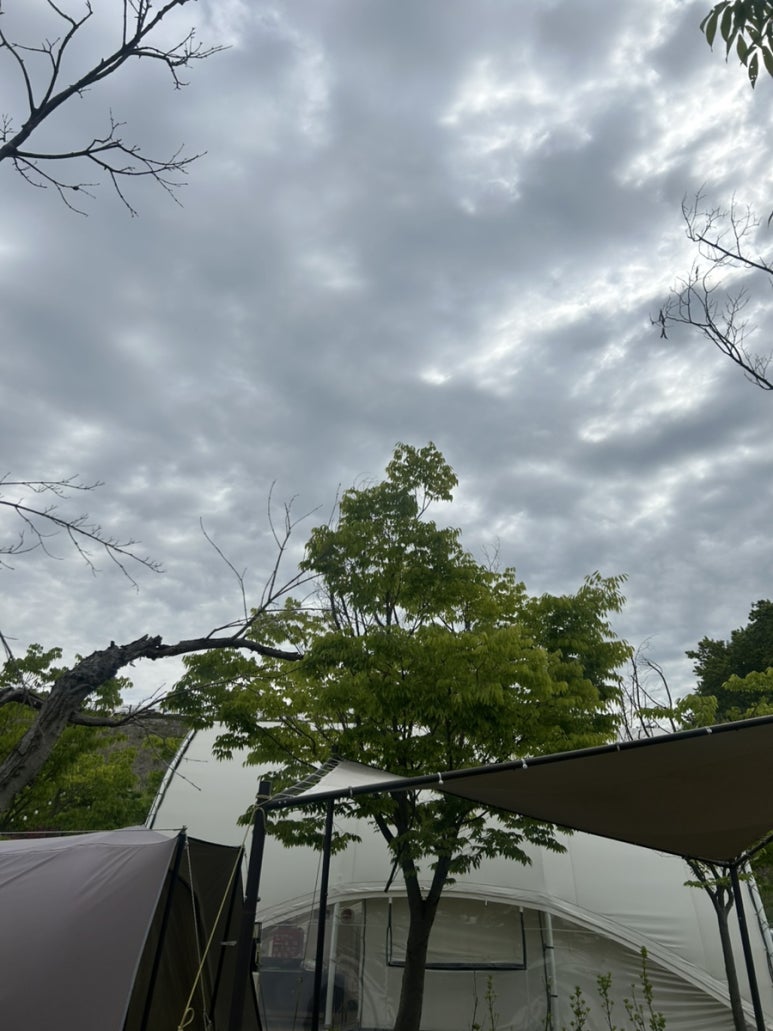원평사골칼국수 이미지