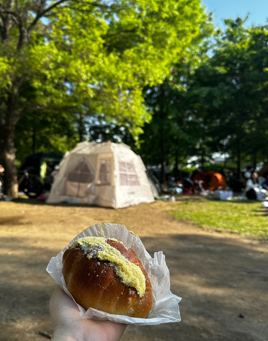 그레인솔트 이미지