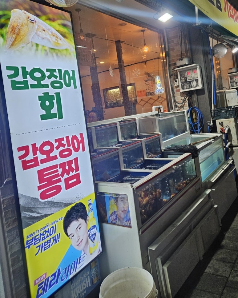 해안선회포차 이미지