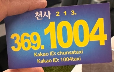 월드펫투어 이미지