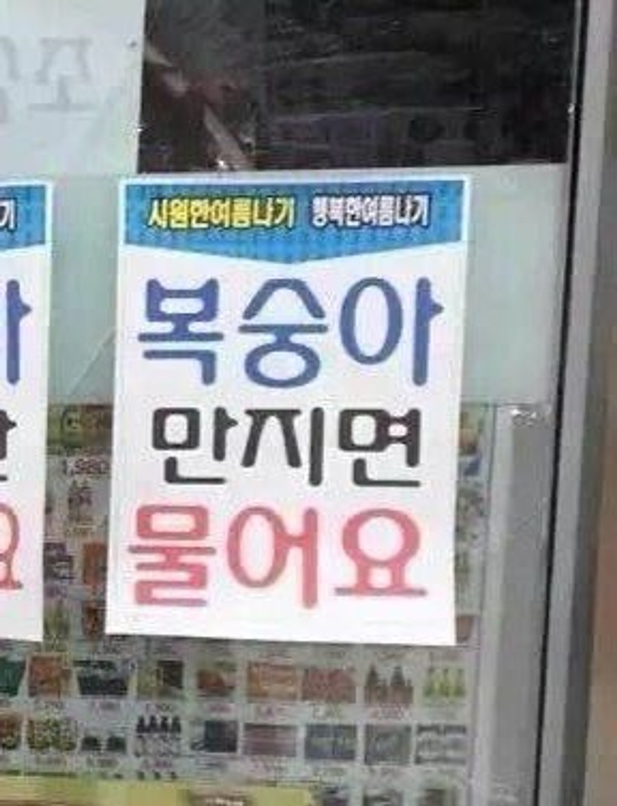 쨍 이미지