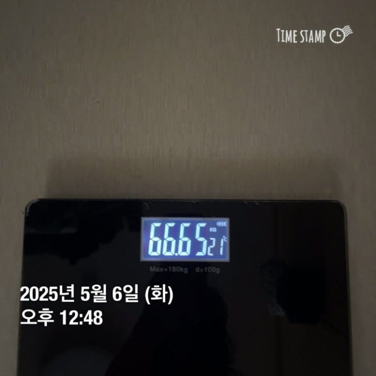 탑바디핏 이미지