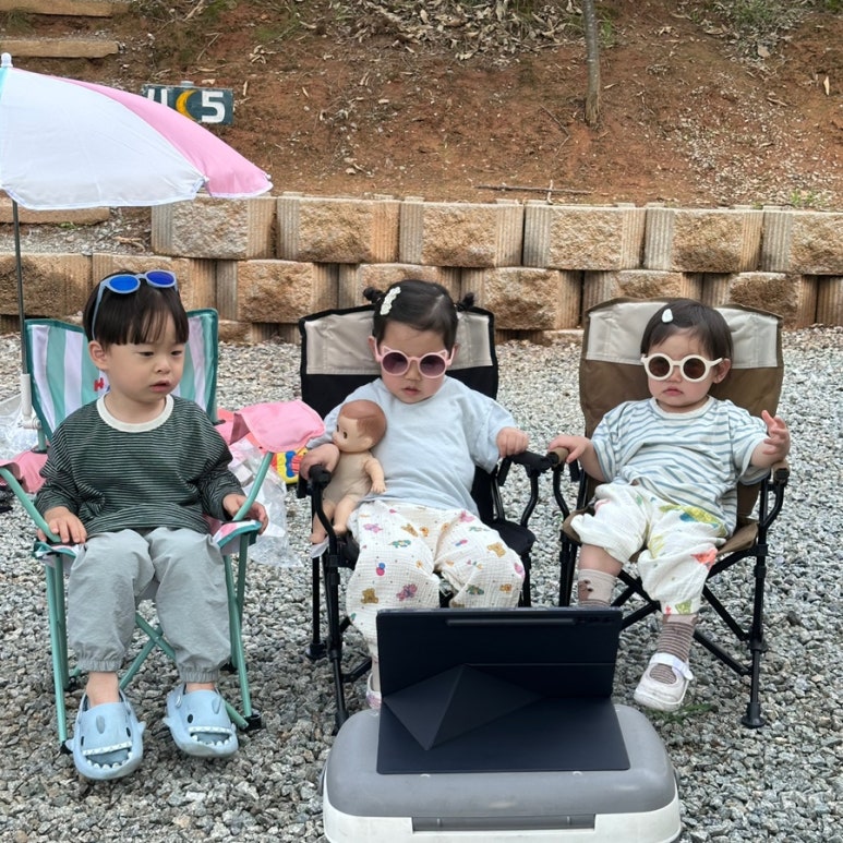 트리팜 관광농원 이미지