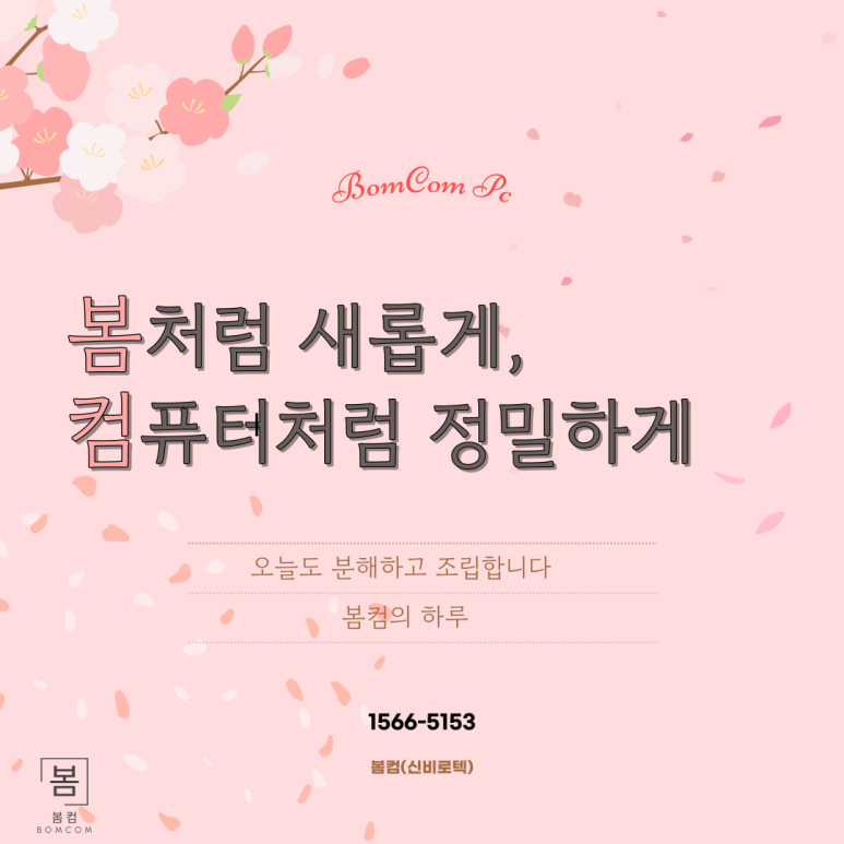 신비로텍 이미지