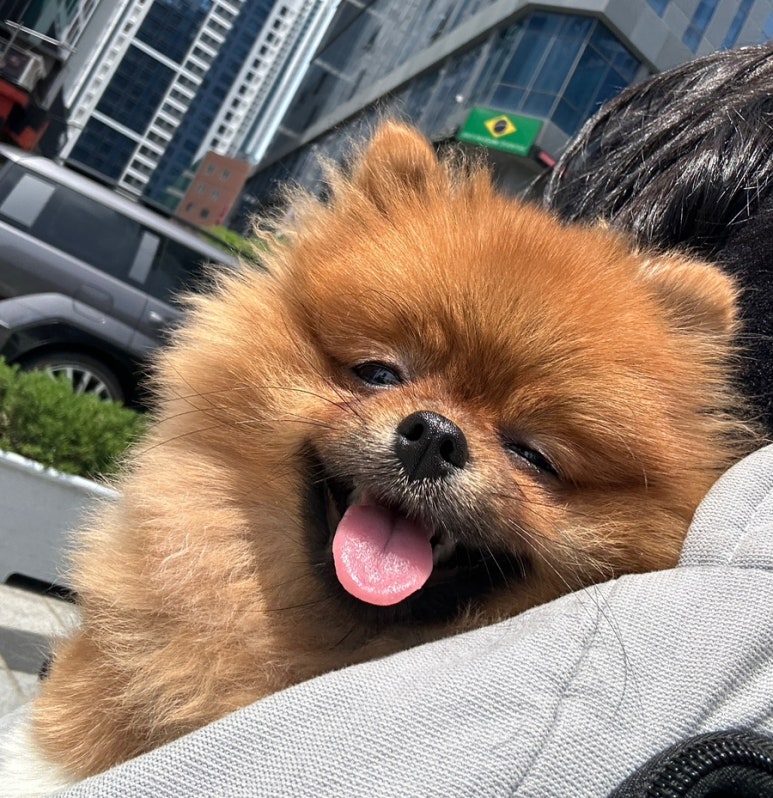 파라다이스유치원 이미지