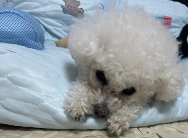 손이가인테리어 이미지
