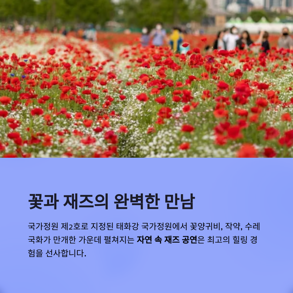태화강라이브 이미지