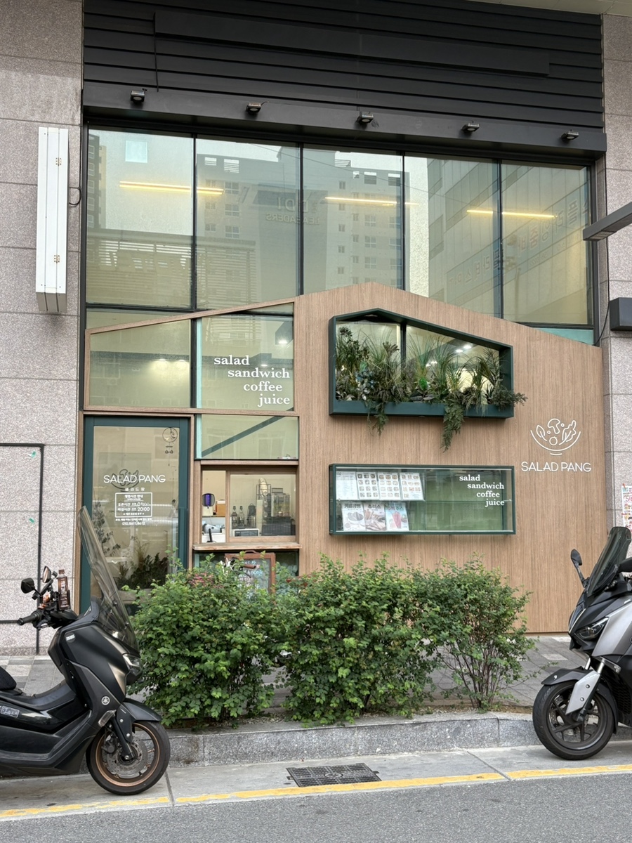 샐러드팡 이미지
