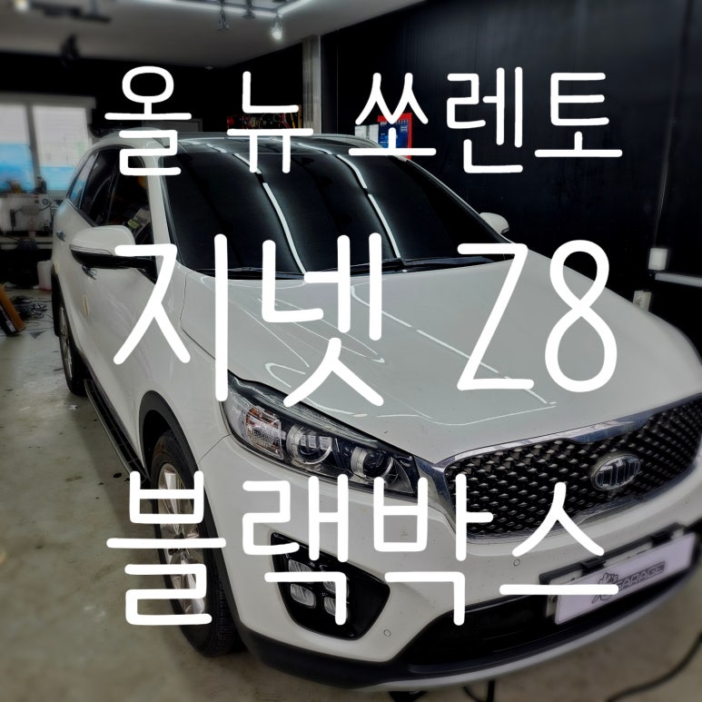 광쓰게러지 이미지