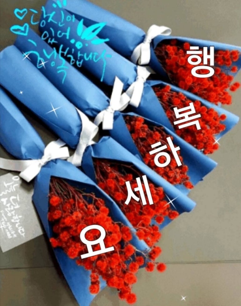 여행가자 이미지