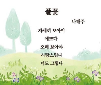 풀꽃 이미지