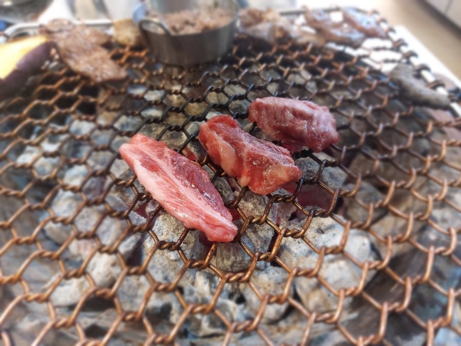 제주한우 이미지