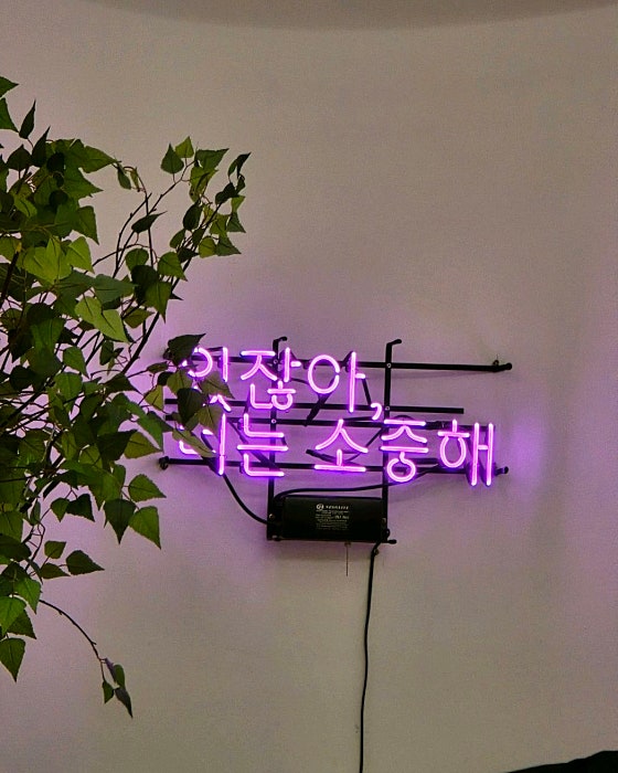 주니룸 이미지