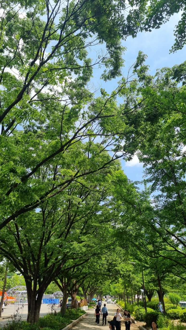 (주)굿앤컴퍼니 이미지
