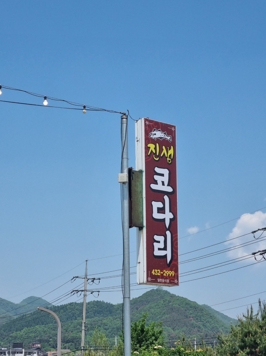 진샘코다리 이미지